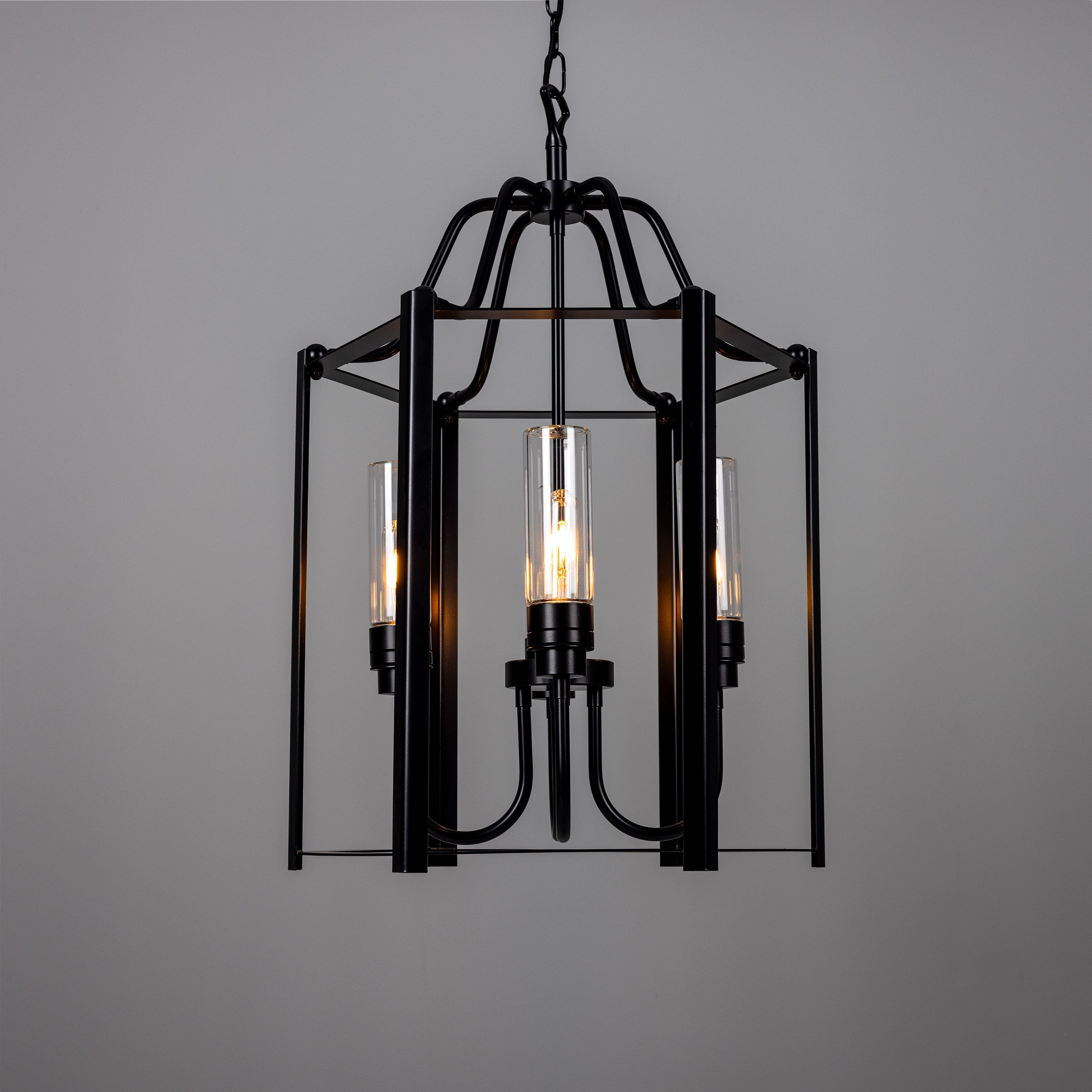 Portroe Outdoor Hanging Lantern