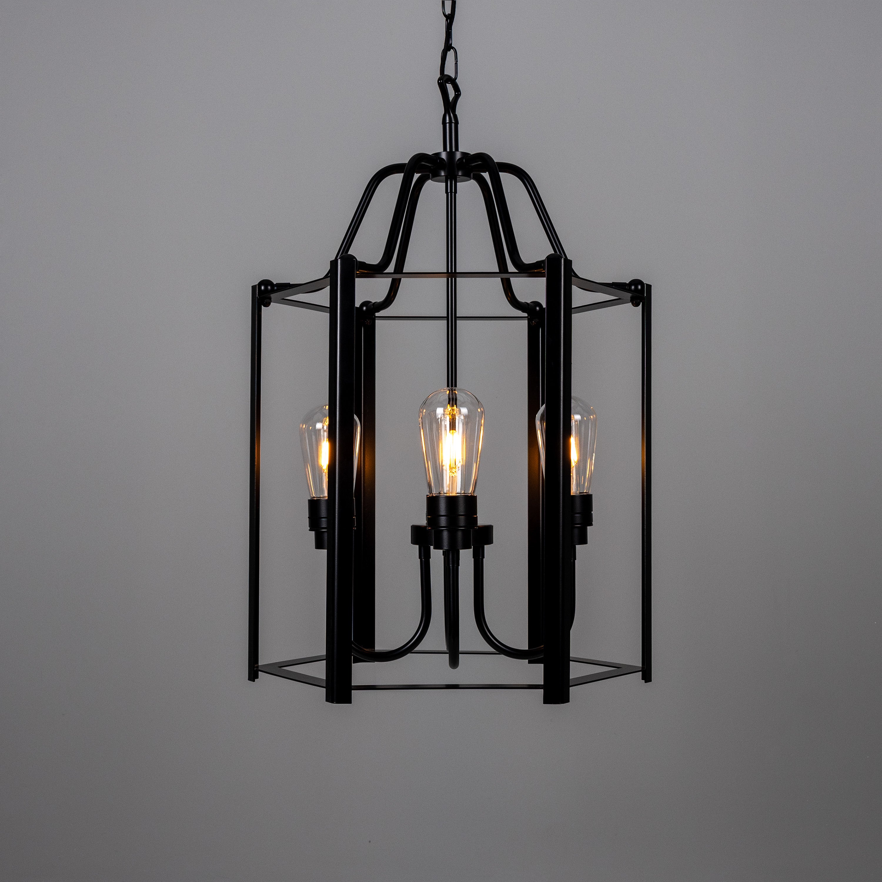 Portroe Outdoor Hanging Lantern