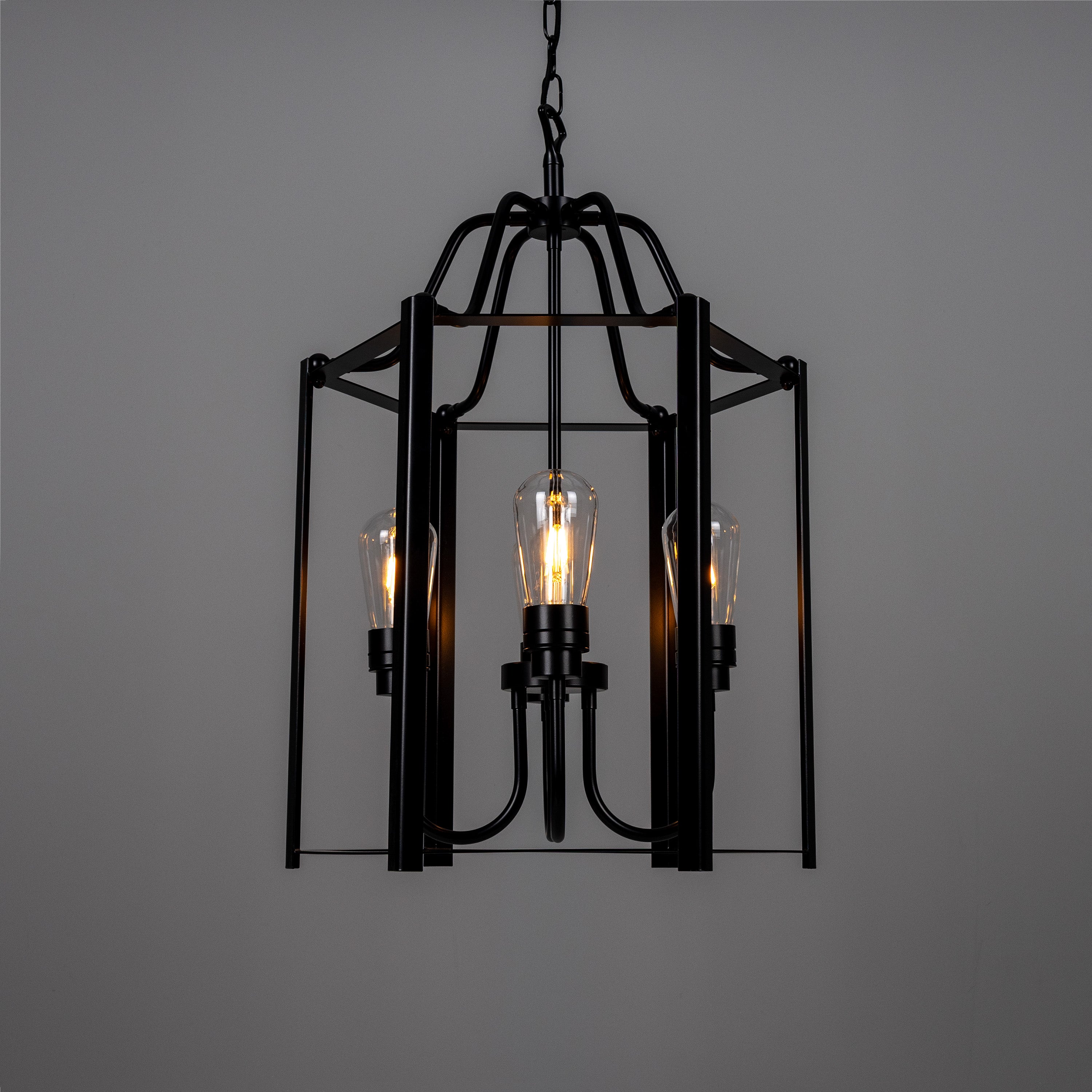 Portroe Outdoor Hanging Lantern